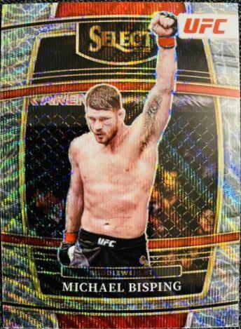 Michael Bisping [Elephant] #82