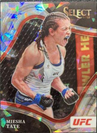 Miesha Tate #230
