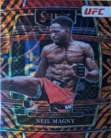 Neil Magny [Tiger] #86