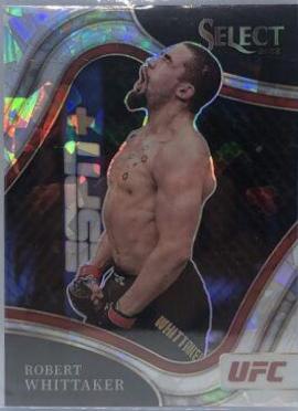 Robert Whittaker [Cracked Ice] #241