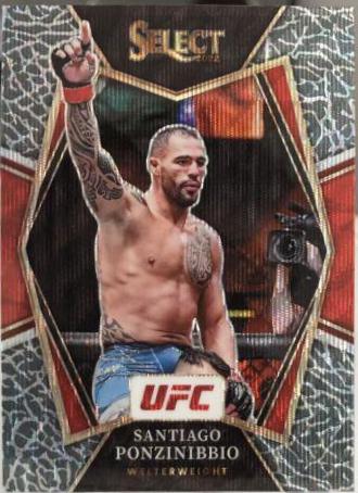 Santiago Ponzinibbio [Elephant] #104