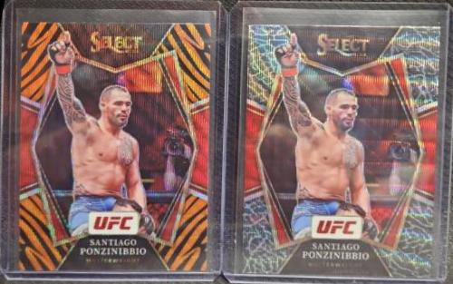 Santiago Ponzinibbio [Zebra] #104