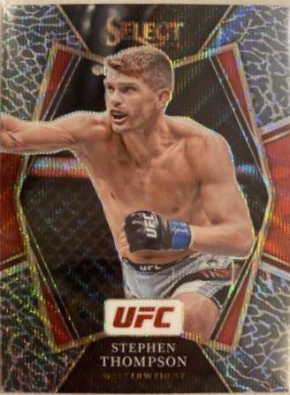 Stephen Thompson [Elephant] #182
