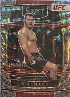 Stipe Miocic [Elephant] #85