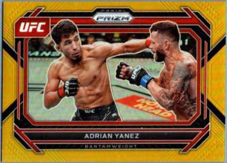 Adrian Yanez [Gold] #6