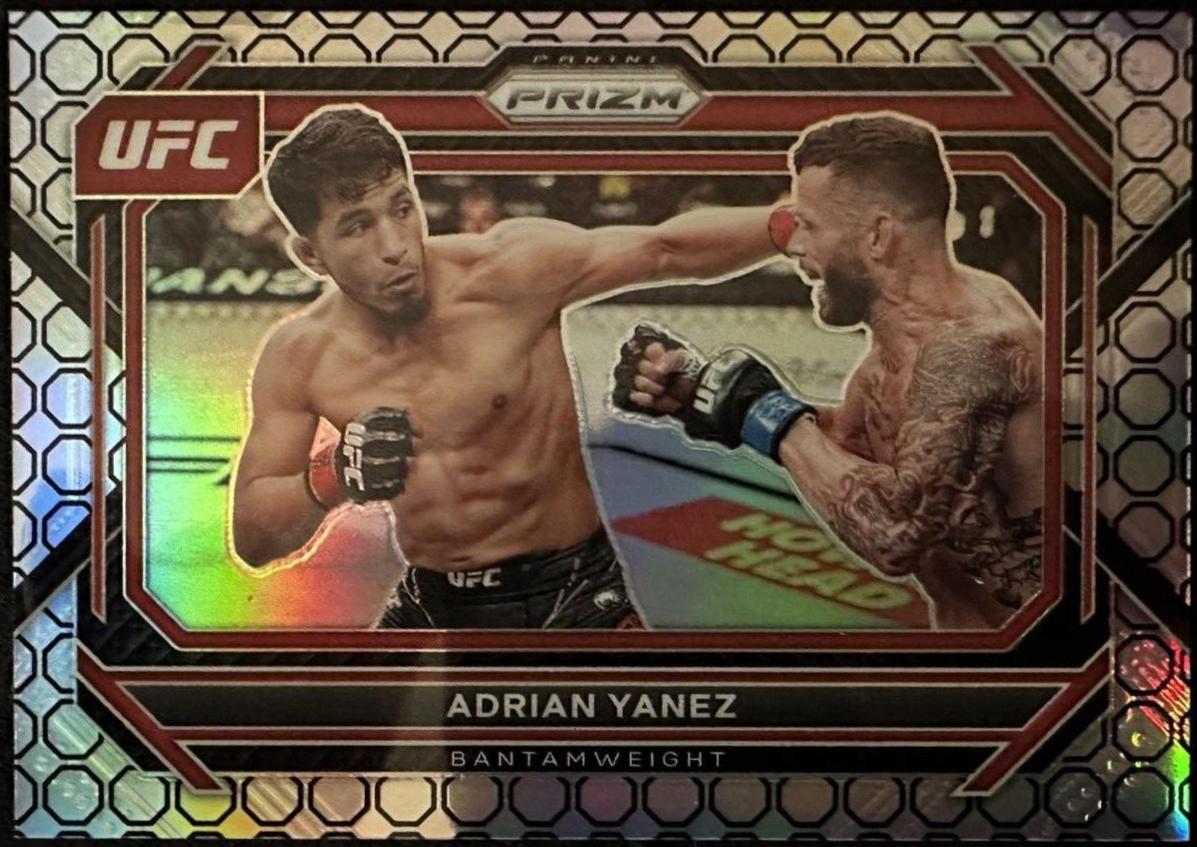 Adrian Yanez [Octagon] #6