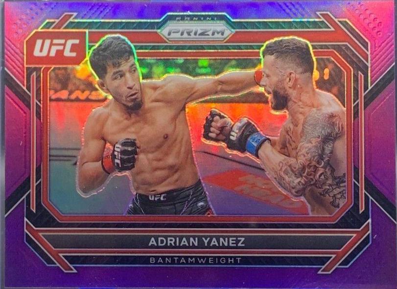 Adrian Yanez [Purple] #6