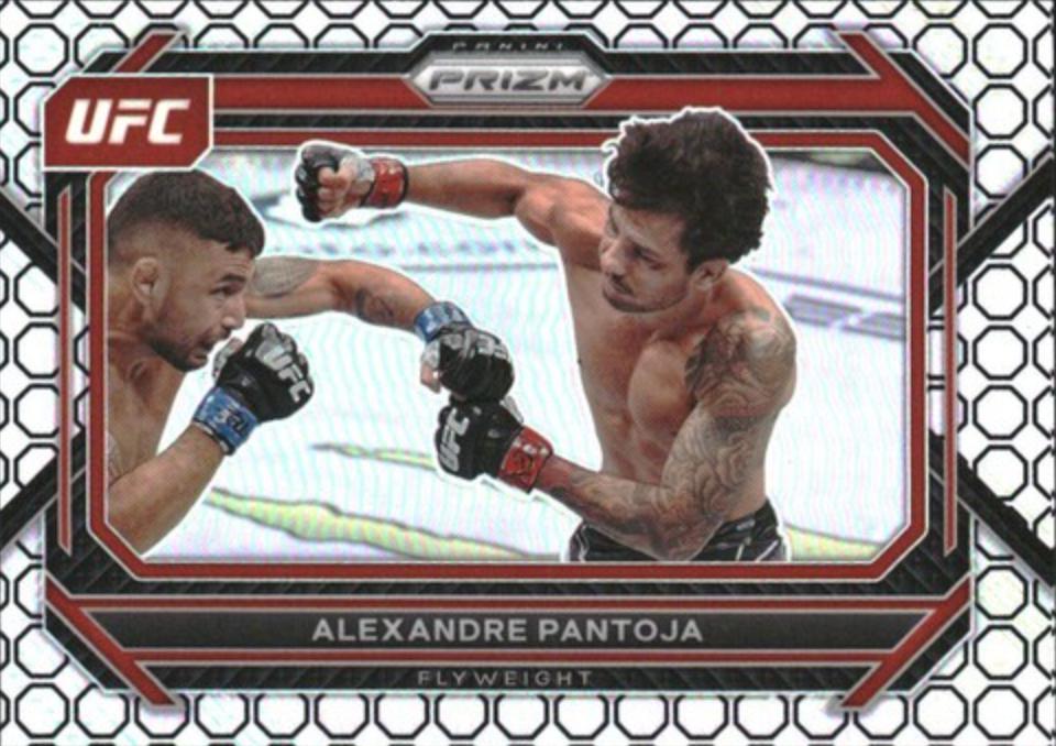 Alexandre Pantoja [Octagon] #46