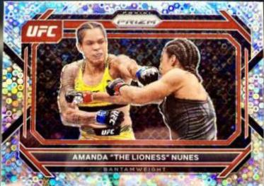 Amanda Nunes #66