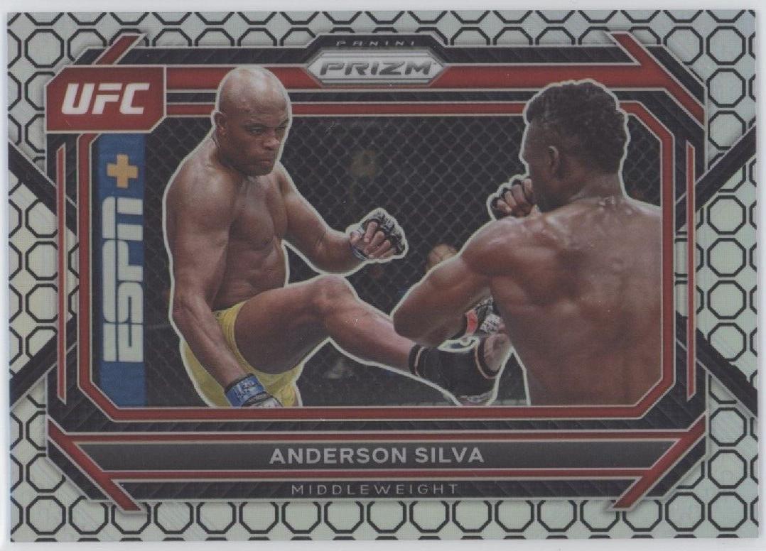 Anderson Silva [Octagon] #76