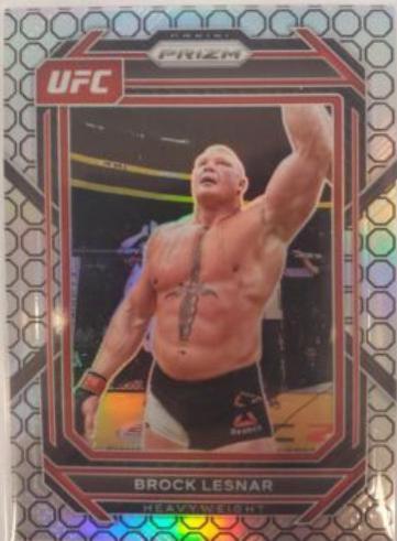 Brock Lesnar [Octagon] #143