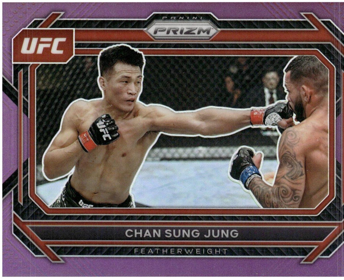 Chan Sung Jung [Purple] #88
