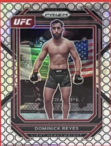 Dominick Reyes [Octagon] #185