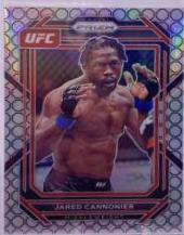 Jared Cannonier [Octagon] #129