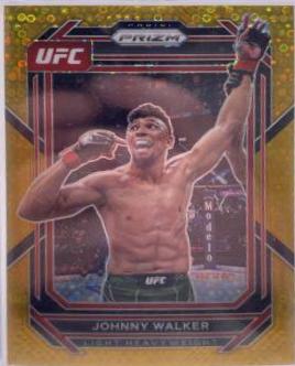 Johnny Walker [Under Card Gold] #169