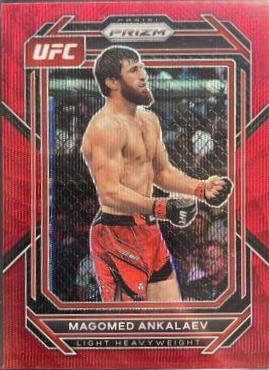 Magomed Ankalaev [Ruby Wave] #190