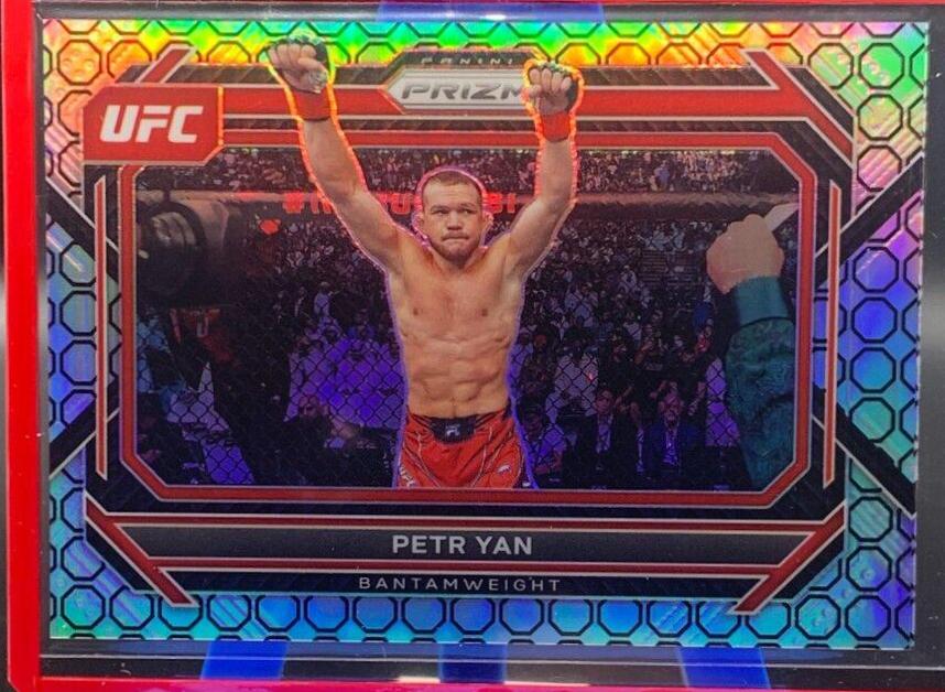 Petr Yan [Octagon] #89