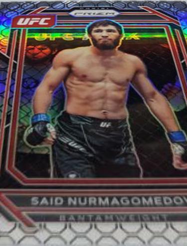 Said Nurmagomedov [Octagon] #104