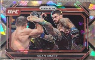 Sean Brady [Ice] #51