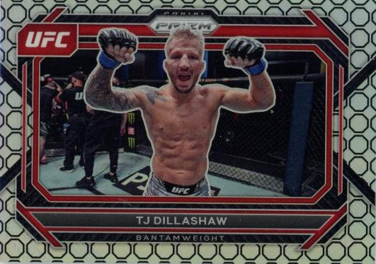 TJ Dillashaw [Octagon] #3