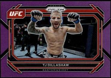 TJ Dillashaw [Purple] #3