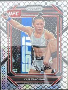 Yan Xiaonan [Octagon] #188