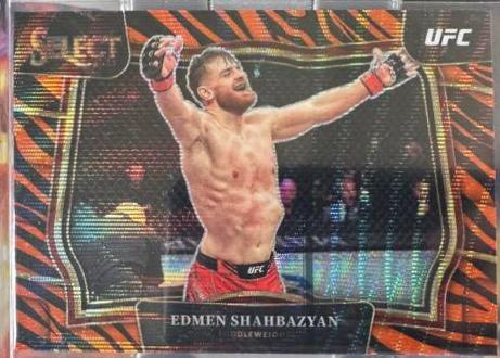 Edmen Shahbazyan [Tiger] #248