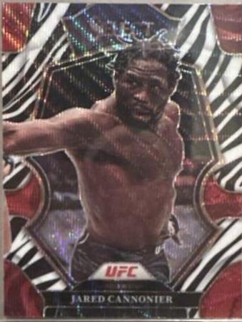 Jared Cannonier [Zebra] #193