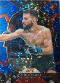 Javid Basharat [Blue Disco] #26