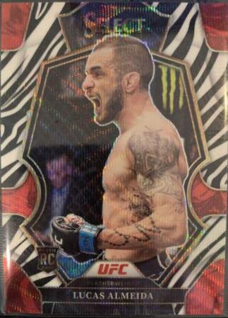 Lucas Almeida [Zebra] #136