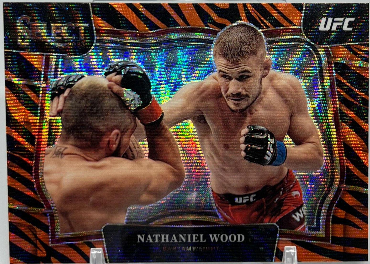Nathaniel Wood [Tiger] #245