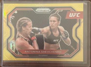 Antonina Shevchenko [Gold] #192