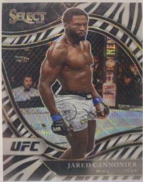 Jared Cannonier [Zebra] #245