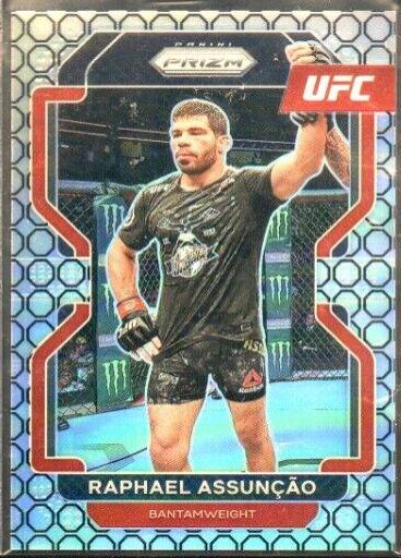 Raphael Assuncao [Octagon] #102