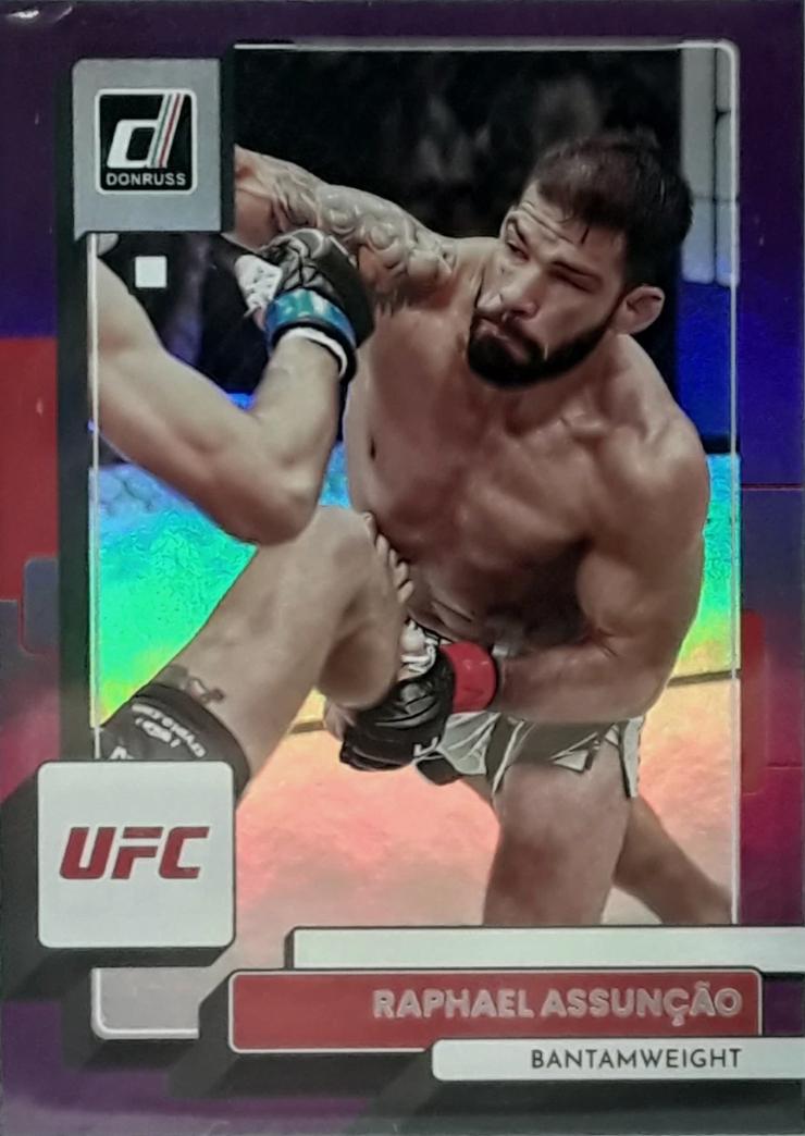 Raphael Assuncao [Purple Flood] #137