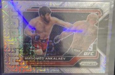 Magomed Ankalaev [Mojo] #1