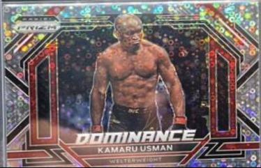 Kamaru Usman [Silver] #13