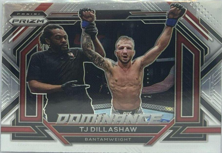 TJ Dillashaw #24