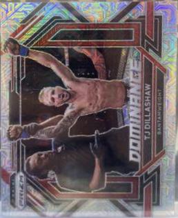 TJ Dillashaw [Mojo] #24