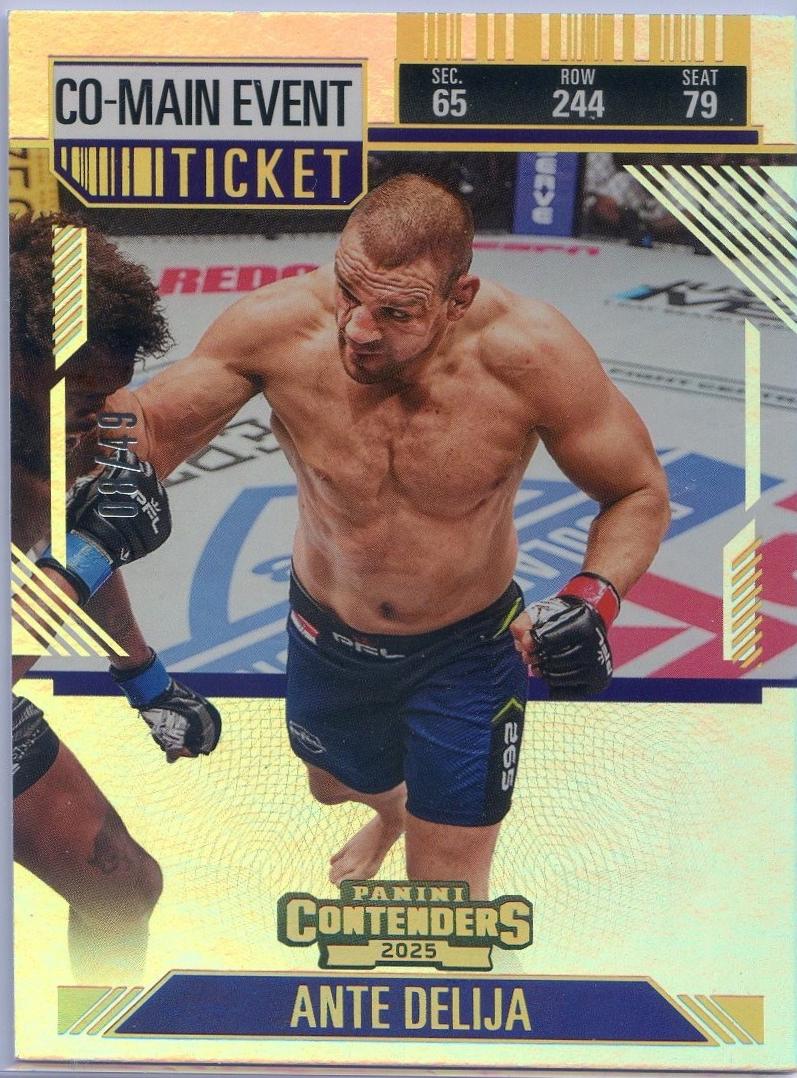 Ante Delija [Co-Main Event Ticket] #48