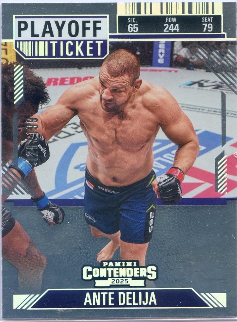 Ante Delija [Playoff Ticket] #48