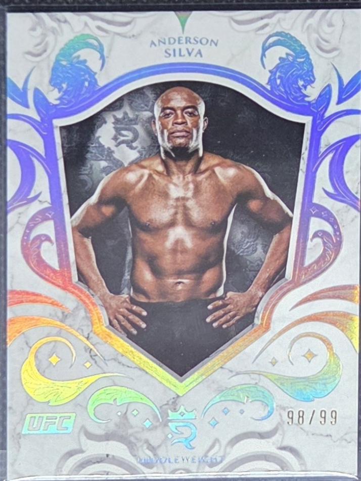 Anderson Silva #66