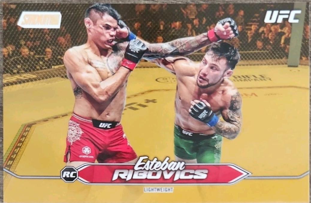 Esteban Ribovics [Gold] #186