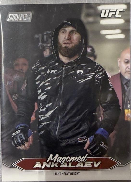 Magomed Ankalaev [Image Variation] #238
