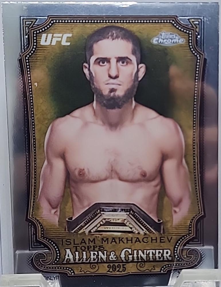 Islam Makhachev #AAG-28