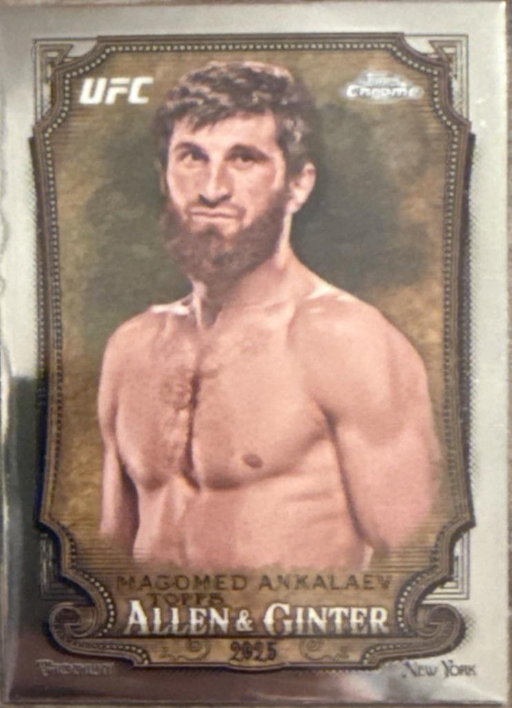 Magomed Ankalaev #AAG-1