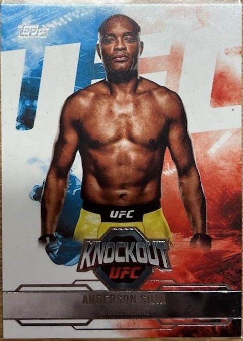 Anderson Silva #34