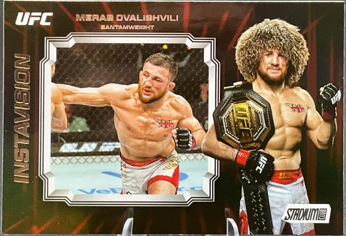 Merab Dvalishvili #IV-9