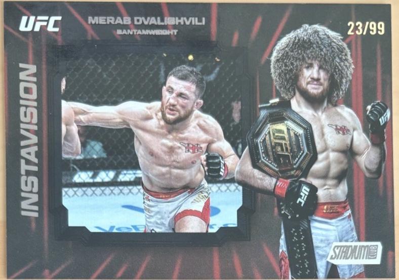 Merab Dvalishvili [Black] #IV-9