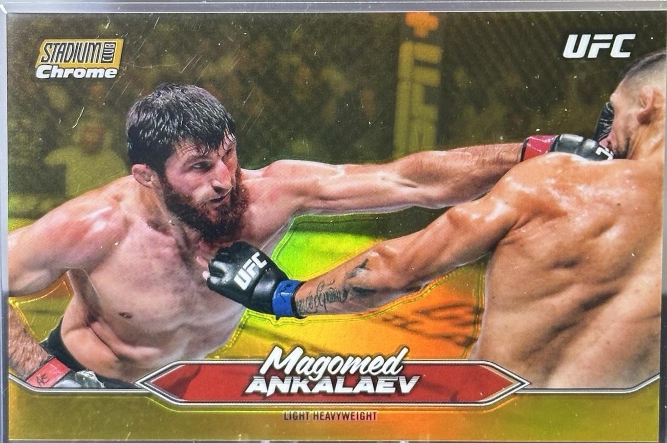Magomed Ankalaev [Gold Minted Refractor] #C-177